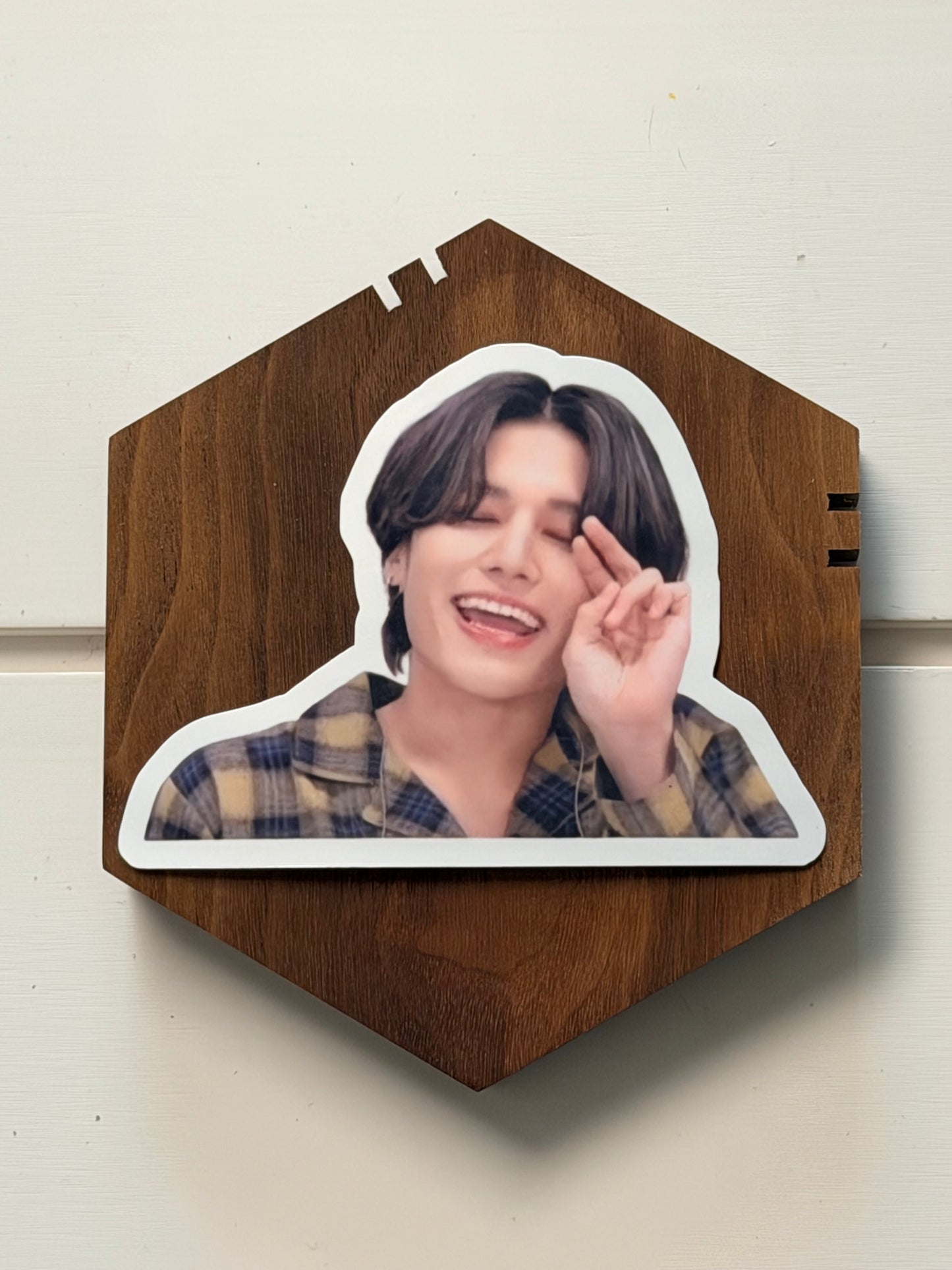 WOOYOUNG VINYL STICKERS 1