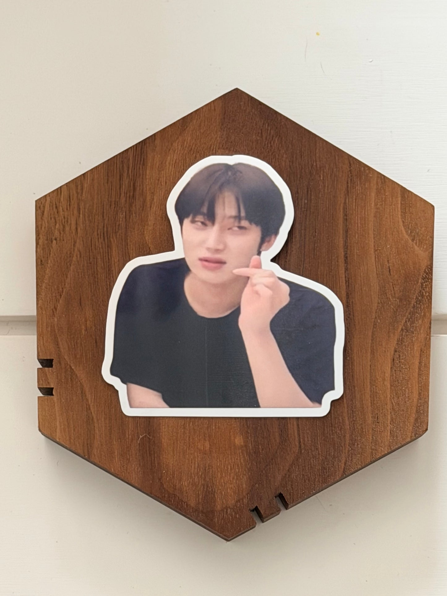 SUNOO VINYL STICKERS 2