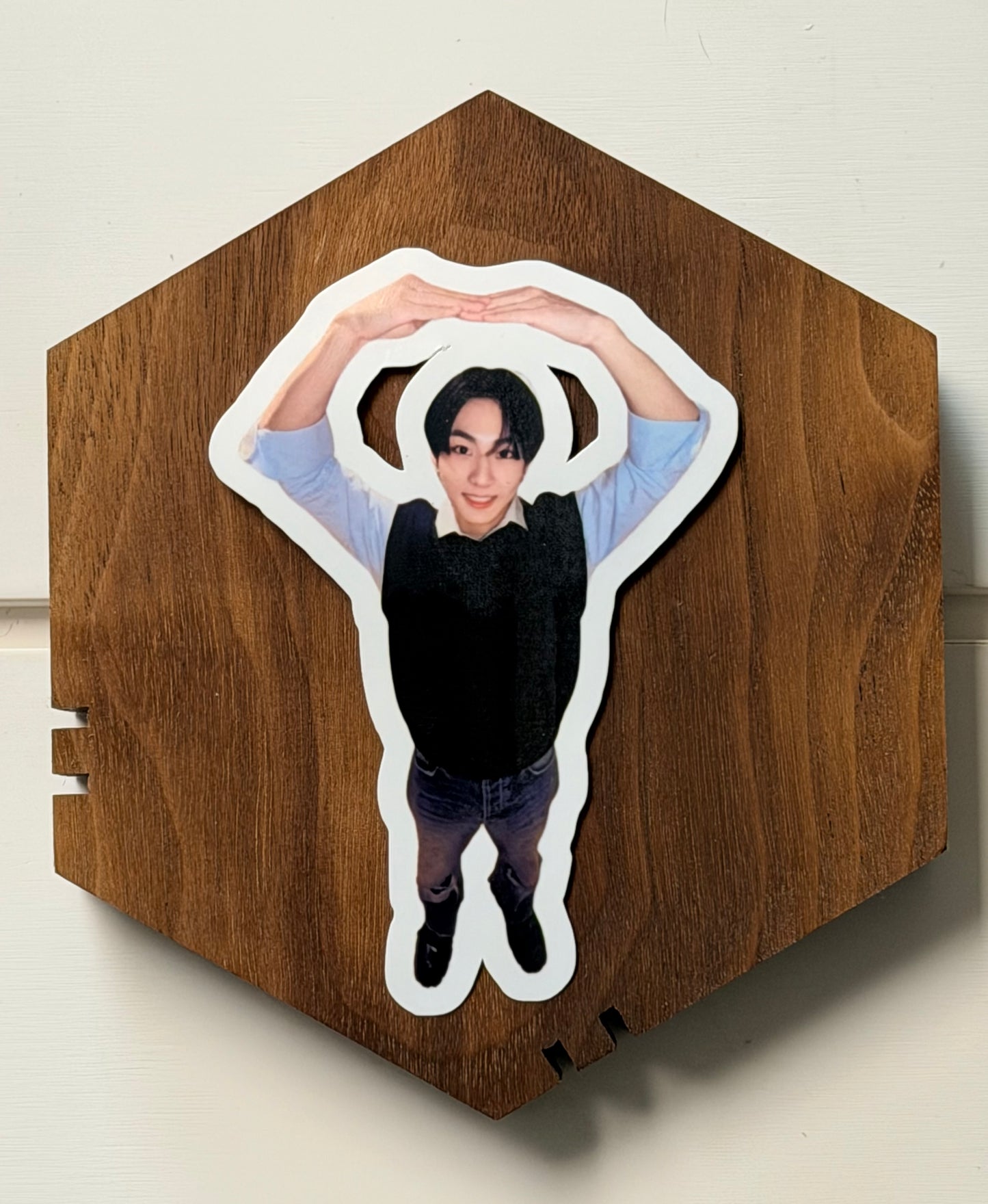 JUNGWON VINYL STICKERS 2