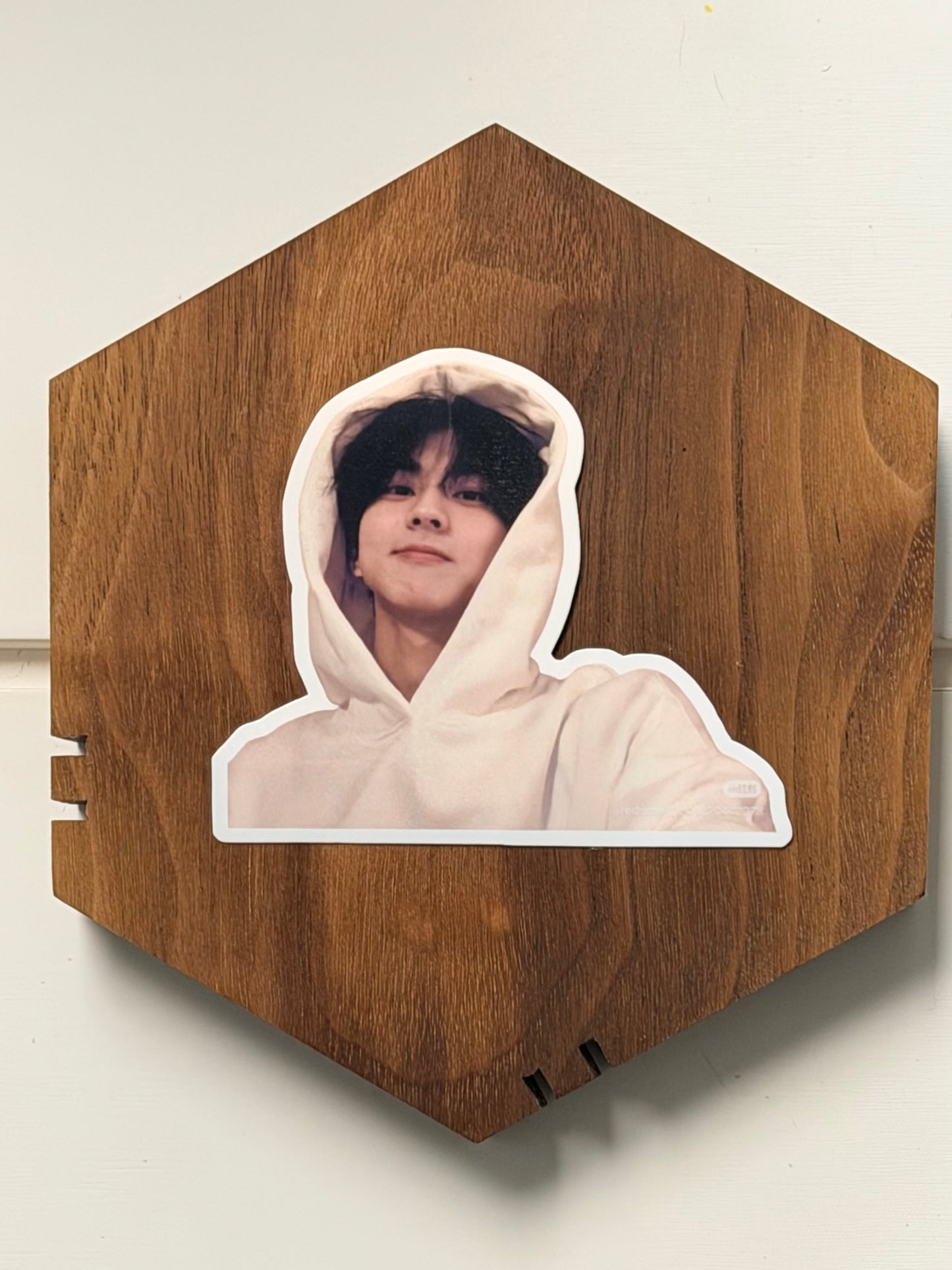 JUNGWON VINYL STICKERS 3