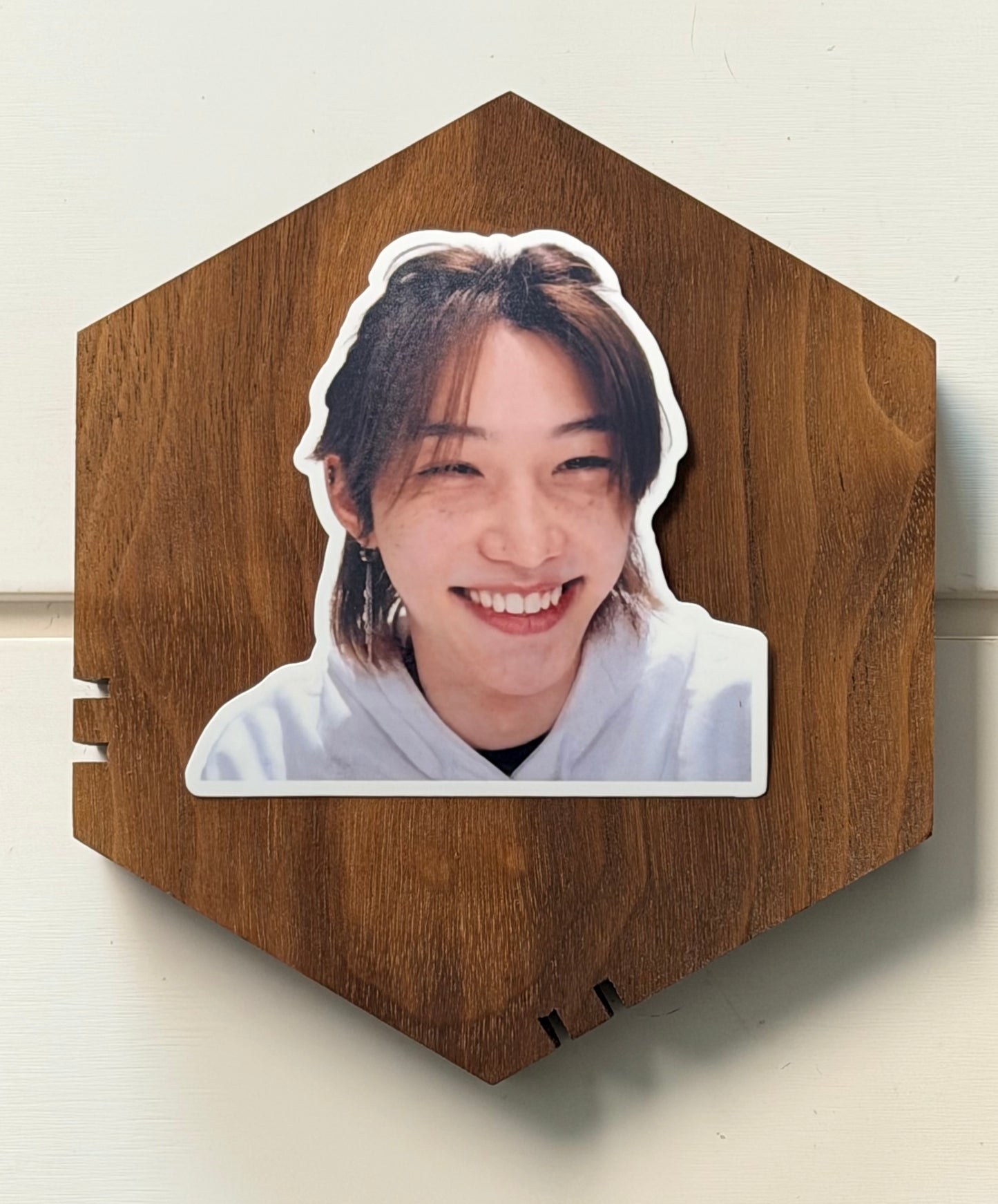 FELIX VINYL STICKERS 2