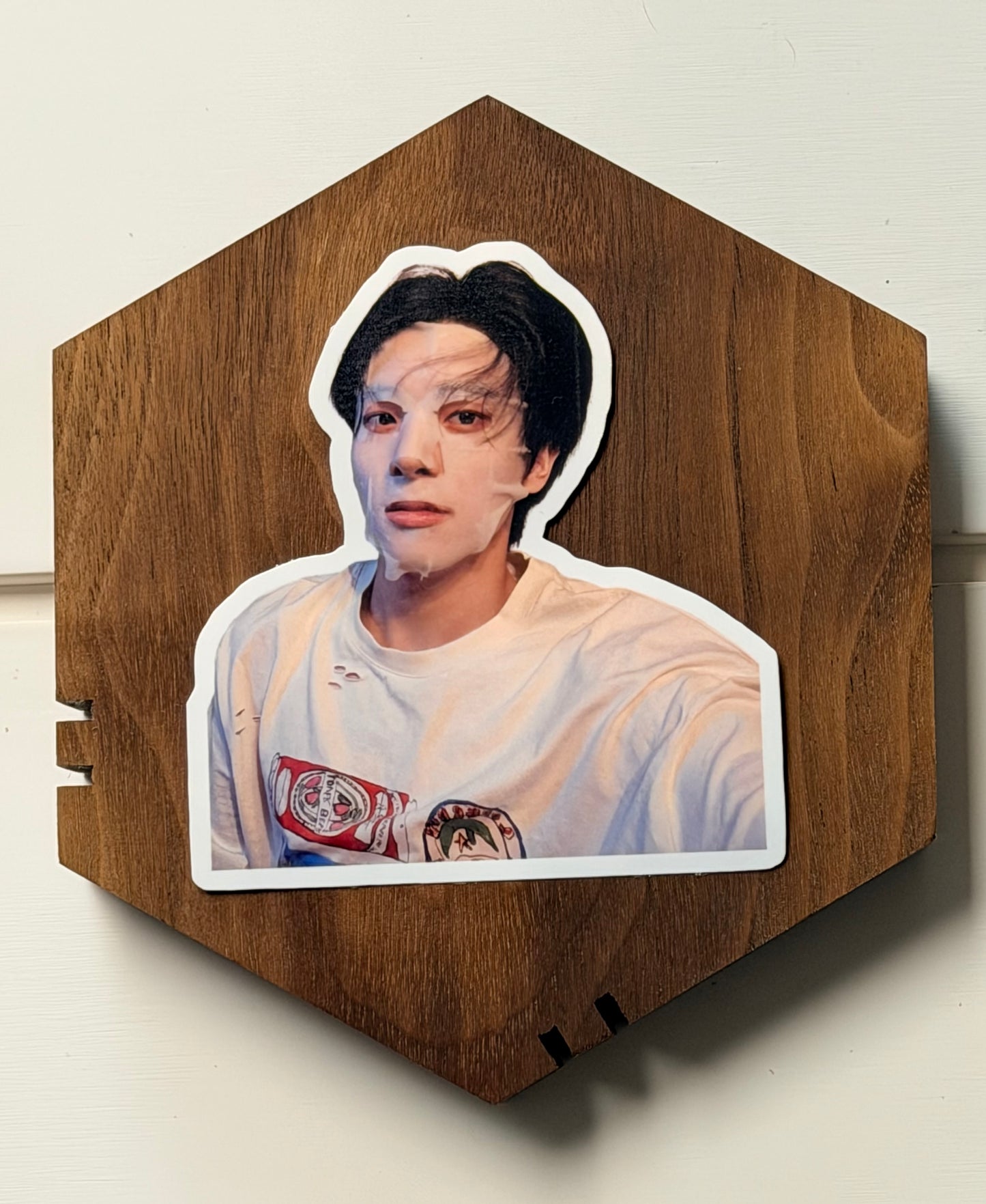 JAKE VINYL STICKERS 2