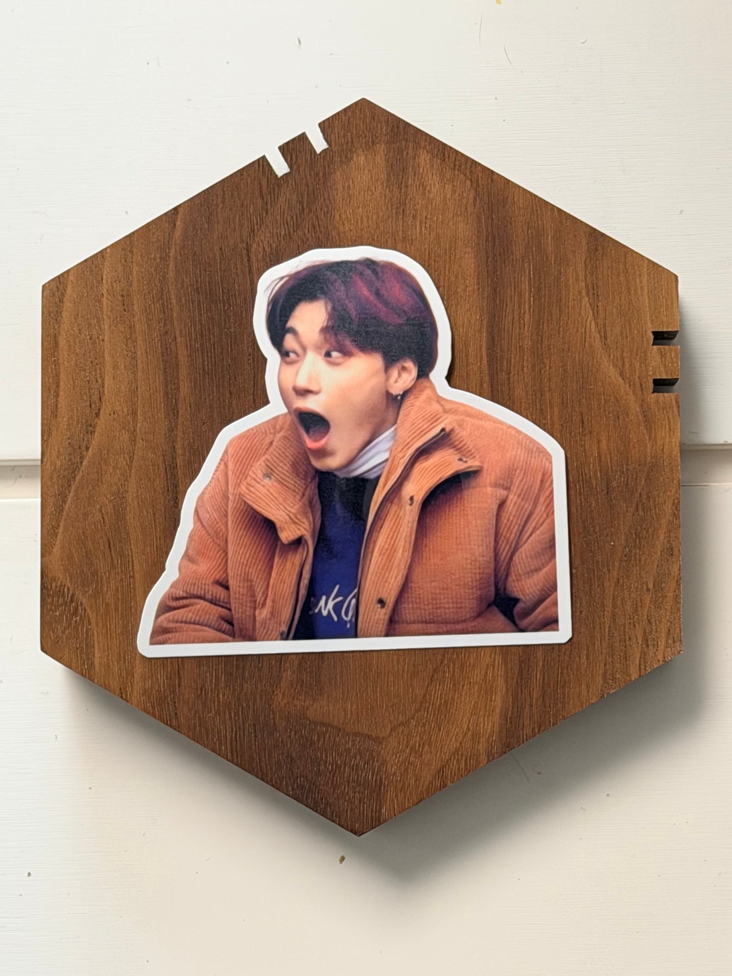 SAN VINYL STICKERS 2