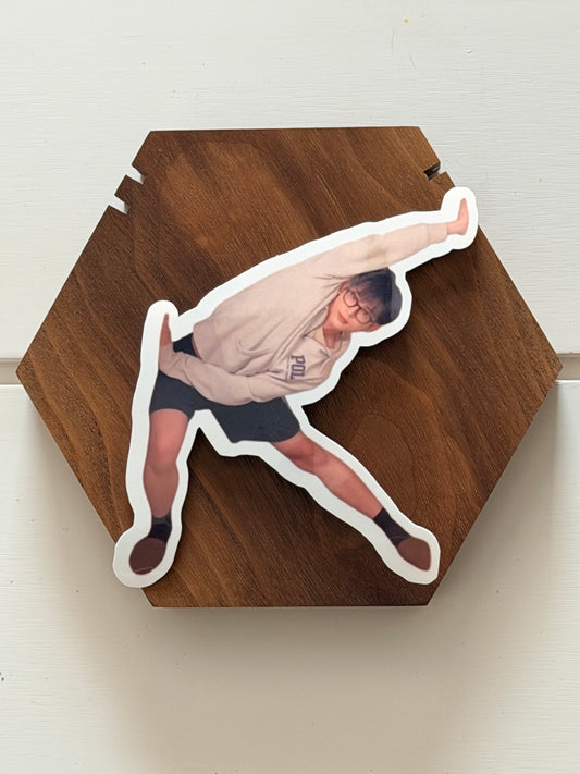 HARUA VINYL STICKERS 2